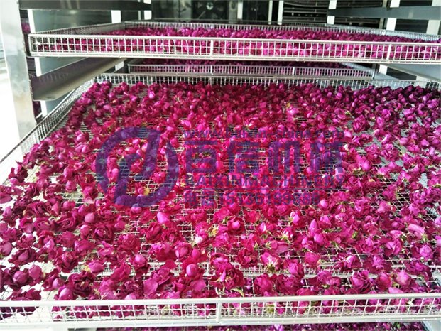 玫瑰花烘干機(jī)